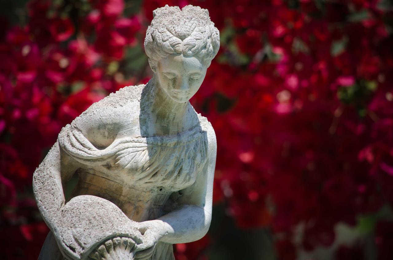 Hotel Angelino Barano dʼIschia Zewnętrze zdjęcie